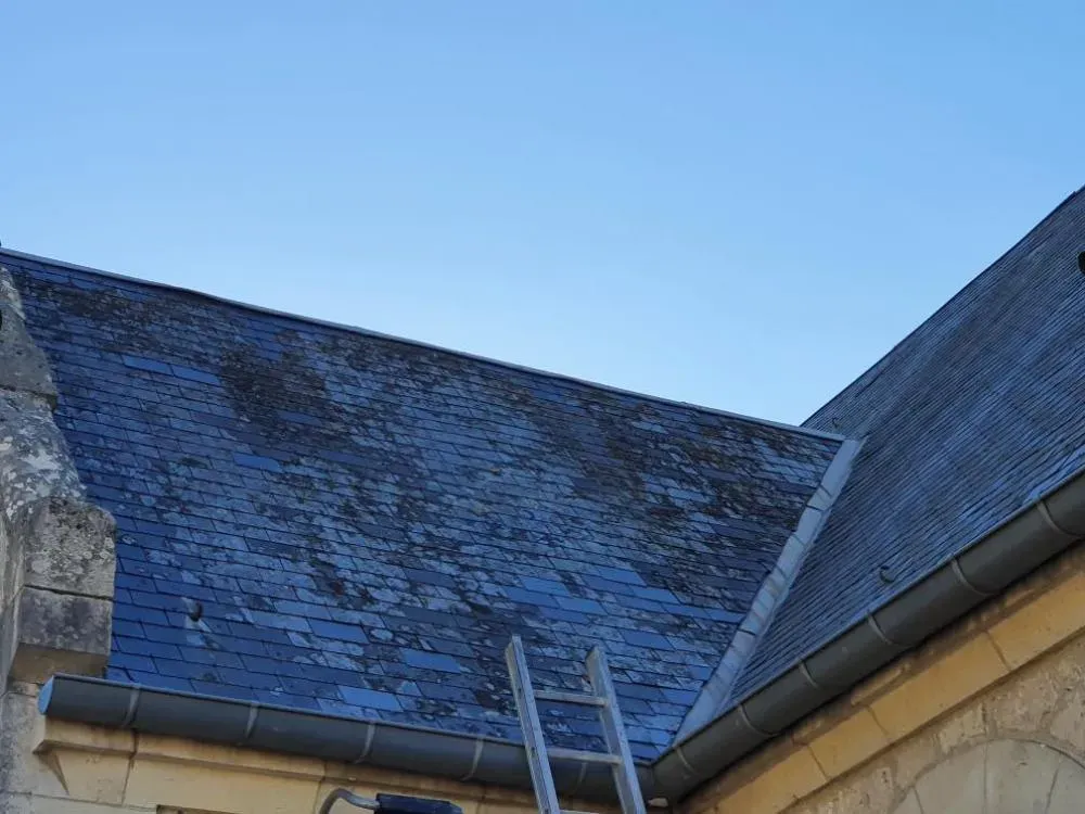 Réparation et nettoyage toiture